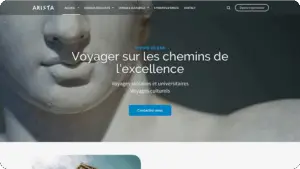 Aperçu du site Arista voyage